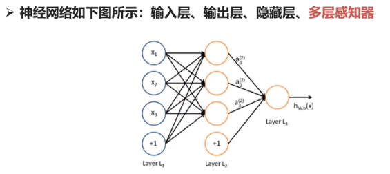 计算机视觉领域都有哪些大类 计算机视觉的分类_Powered by 金山文档_04