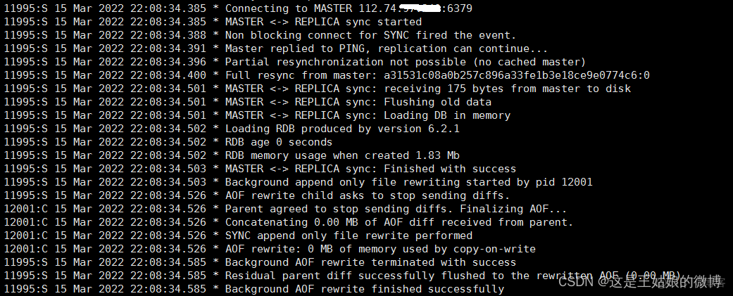 redis仅使用ipv6 redis ipv6_redis_06