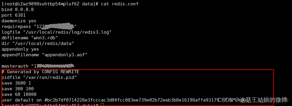 redis仅使用ipv6 redis ipv6_redis_12