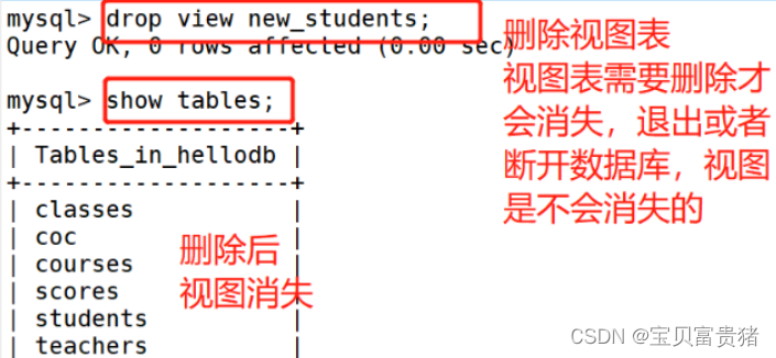 mysql的排序怎么让空字符串排在最后 mysql排序语录_mysql_65