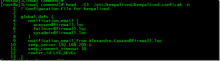 keepalived的docker安装 keepalived安装与配置_IP_02