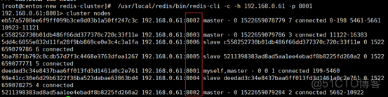 单节点构建redis集群 单节点和集群_单节点构建redis集群_11