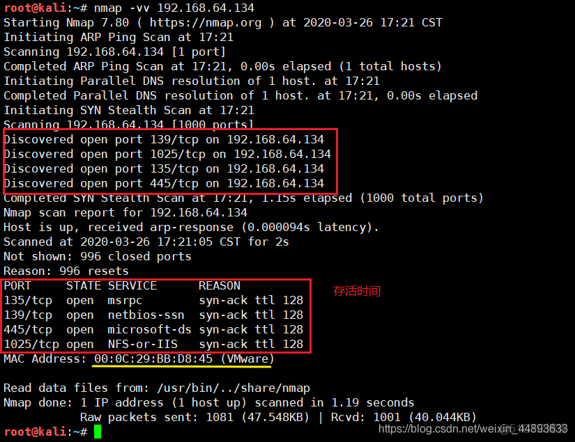 nas跑python程序 nas pt软件_网络基础_12