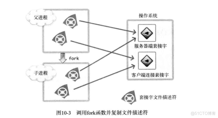 多进程并发写mysql 多进程并发服务器流程_子进程_03