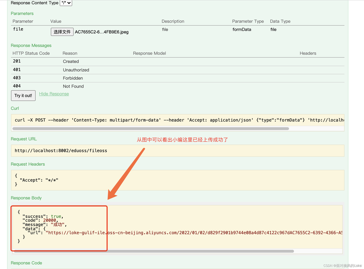 axios图片上传到OSS服务 oss 上传_spring_11