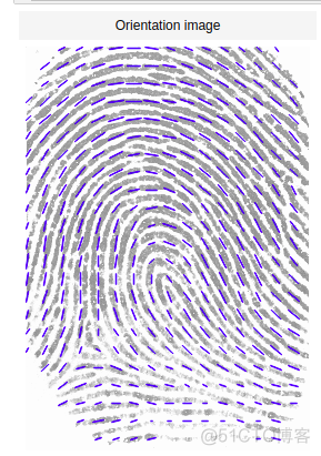 指纹识别 Python 库 指纹识别源代码_指纹识别 Python 库_17