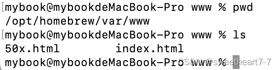Mac安装nginx（Homebrew）_负载均衡_03