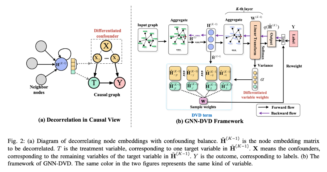 基于图神经网络的推理算法 图神经网络 因果推断_计算机视觉_12
