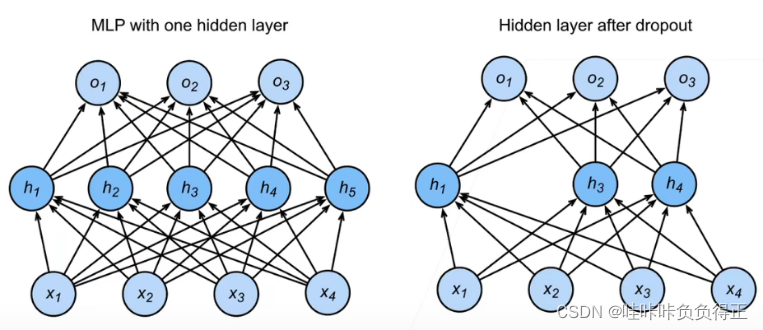 Pytorch adam增加正则项 pytorch正则化_权重_32