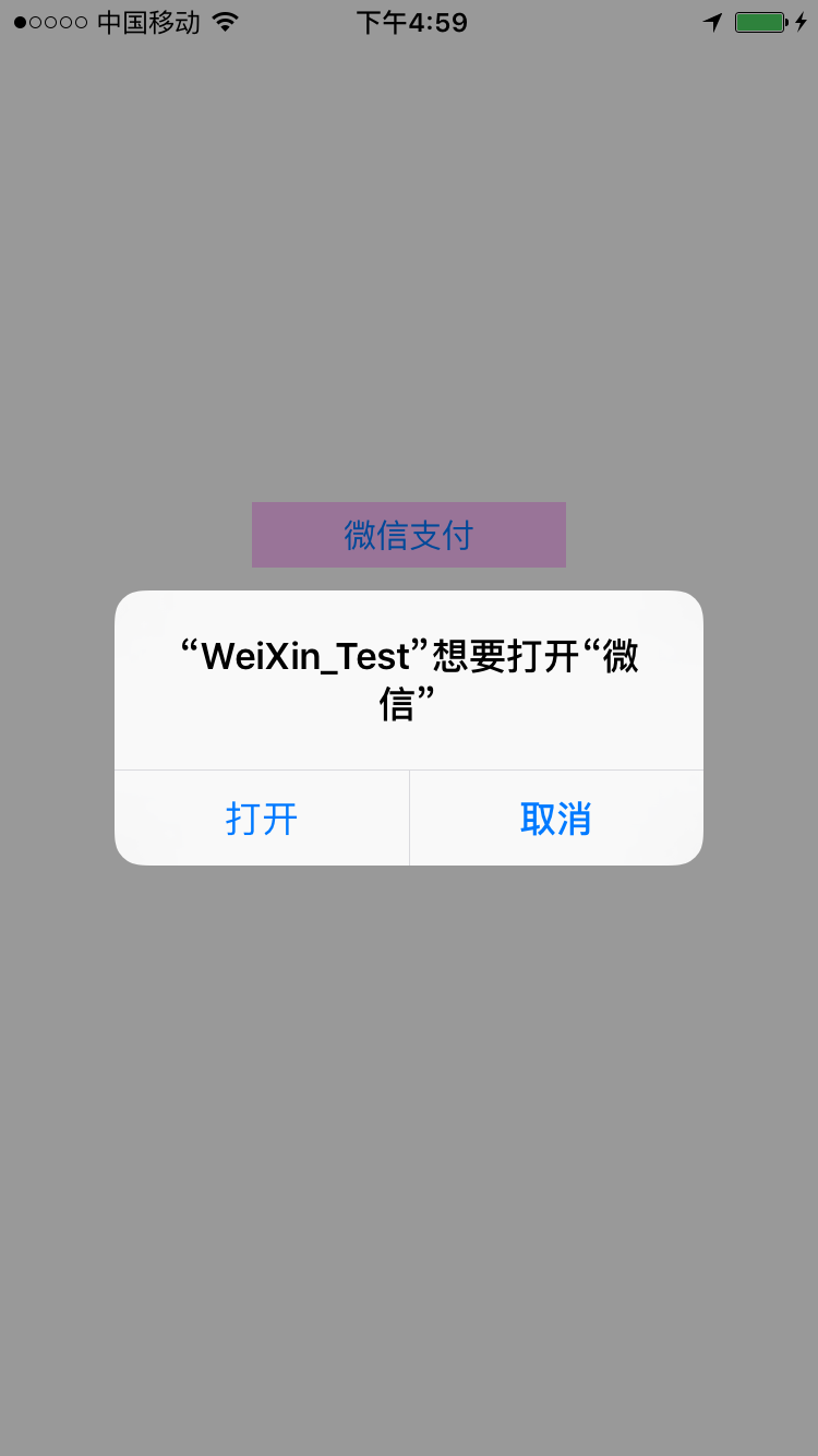 ios 微信支付参数 iphone微信支付_ios_23