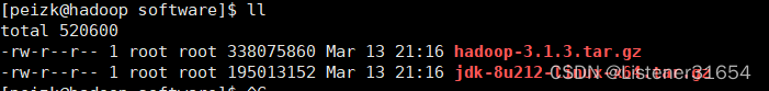 单独开启hadoop节点口令 hadoop单节点搭建_hadoop_04