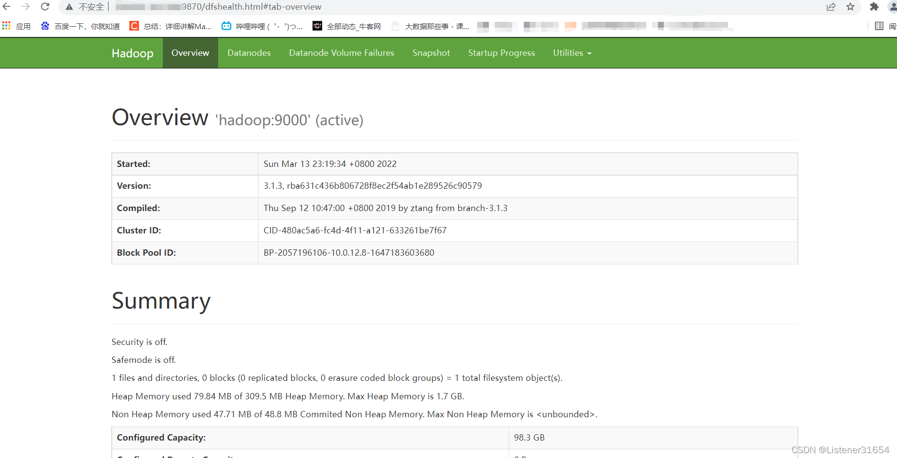 单独开启hadoop节点口令 hadoop单节点搭建_hadoop_12