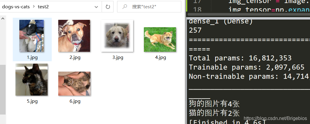 猫狗大战代码Python python模拟猫狗大战_神经网络_09