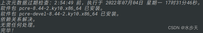 银行麒麟v10 安装redis 银河麒麟离线安装redis_nginx_05