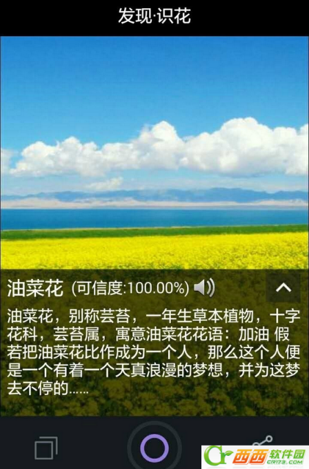 python爬取花瓣网排行第一的画板页面的图片数据 花瓣识图_服务器_05