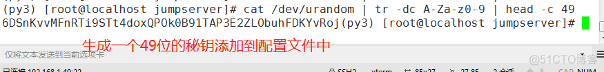 堡垒机连接Redis后查询指令 linux堡垒机_堡垒机连接Redis后查询指令_06