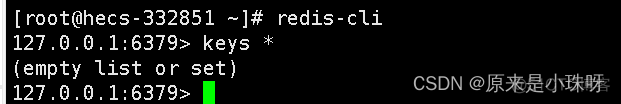 another redis desktop怎么连接虚拟机 虚拟机启动redis_Redis_02