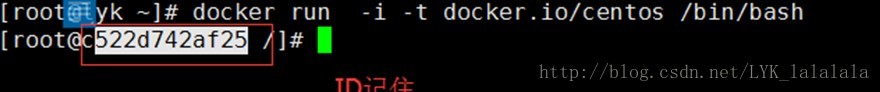 docker 搭建照片墙 docker照片管理_Docker容器镜像基本管理应用_06