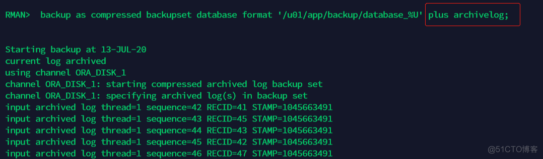 RMAN架构 rman1_数据库_51
