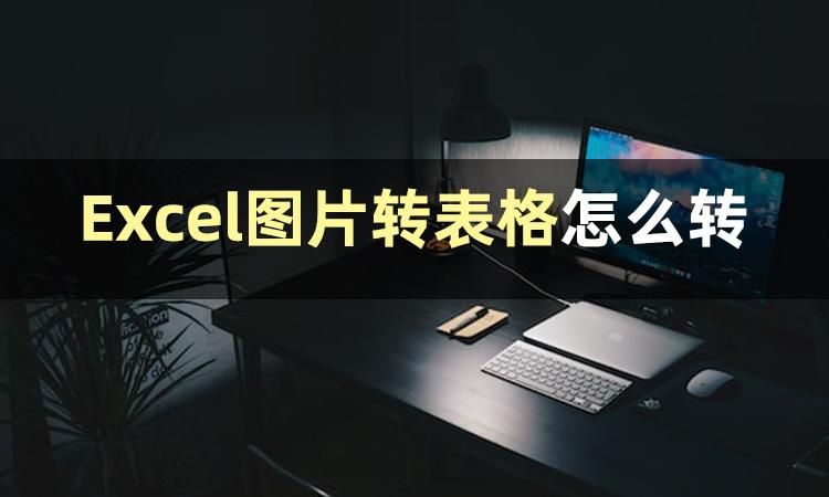 图片表格转换成excel表格 java 2010excel图片转换成表格_文字识别_02