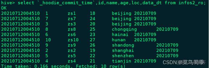 hudi和hive hudi和hive命令一样吗_big data_10