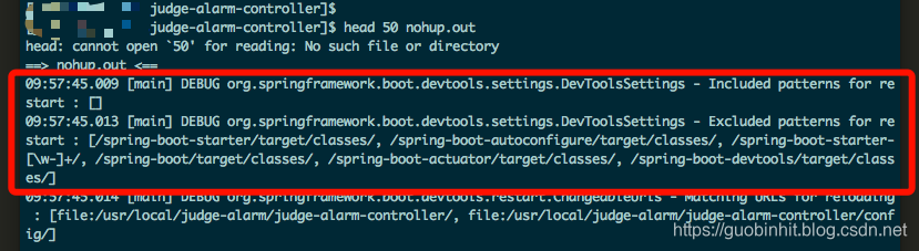 java springboot session配置重启销毁 springboot异常退出自动重启_devtools_02