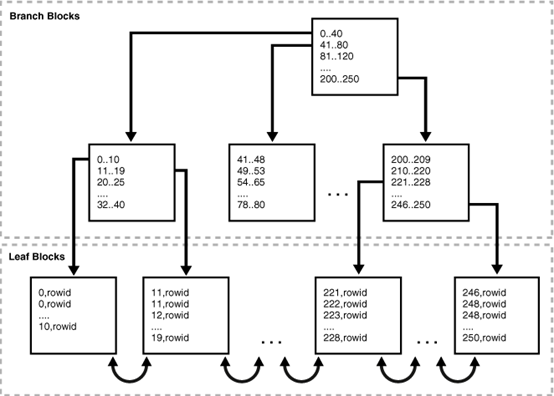 Oracle中B-tree索引的访问方法（一）-- 索引逻辑结构_数据块