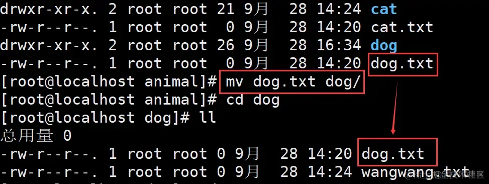 Linux mv命令：移动文件或改名_显示文件_03