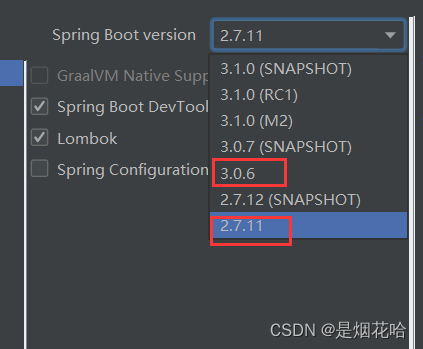 社区版ideal spring boot 插件 idea社区版支持springboot_sed_07