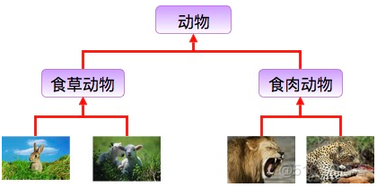 描述动物园中的几种动物java继承 用java编写动物类实现继承_父类