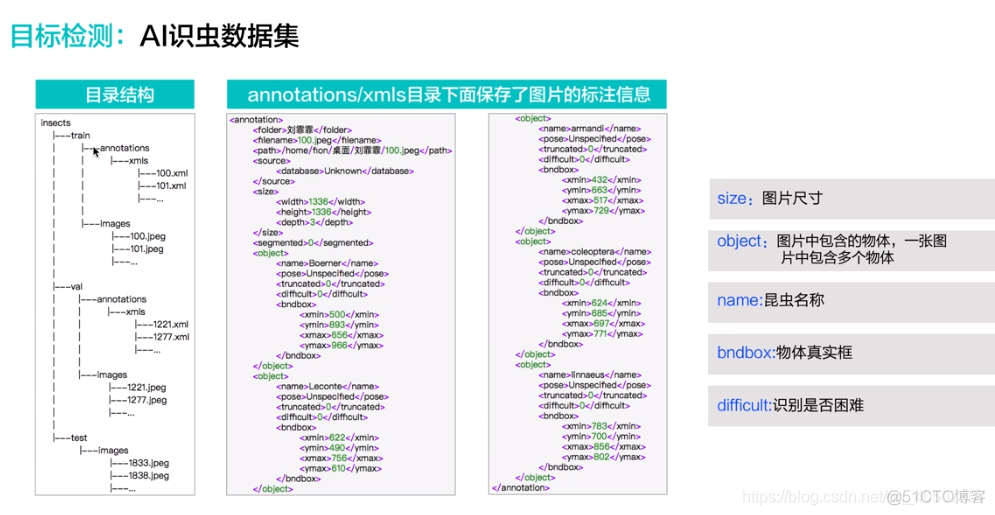 昆虫识别 java 昆虫识别在线查询_python_02