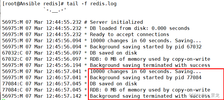 redis 关闭 protect redis 关闭save_Ansible_04