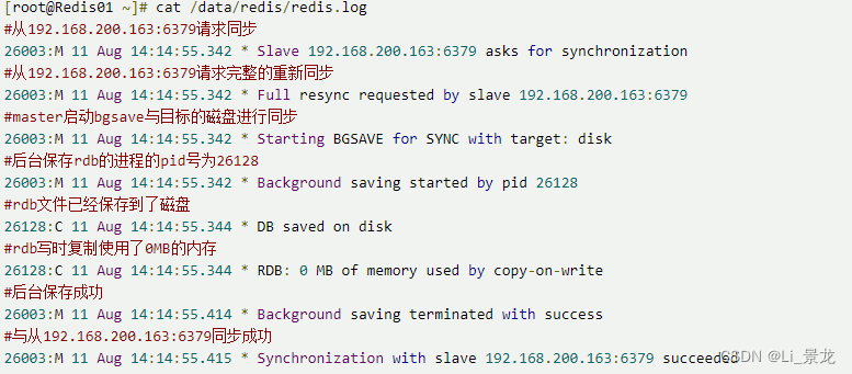 redis 关闭 protect redis 关闭save_Ansible_24