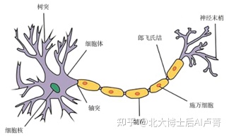 回归深度神经网络 神经网络 回归任务_数据_07