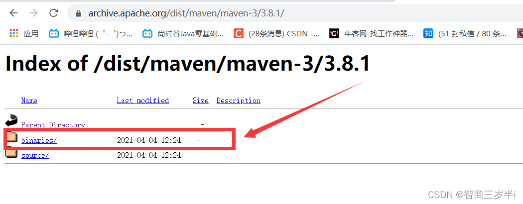 Java 项目如何取消Maven maven怎么删除干净_maven_11