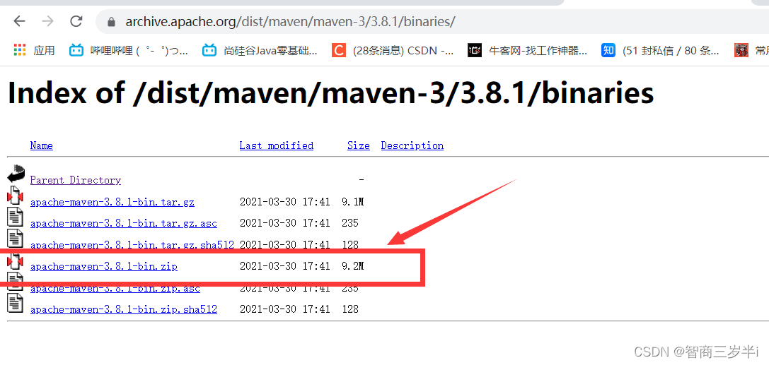 Java 项目如何取消Maven maven怎么删除干净_maven_12