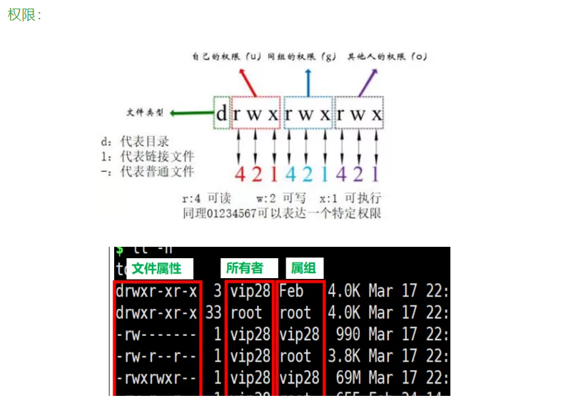 执行脚本放到java项目路径下怎么读取 执行脚本sh_vim_20