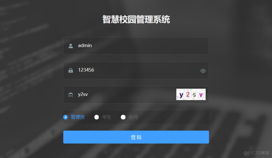 Java 项目 智慧校园平台 智慧校园系统项目书_vue.js