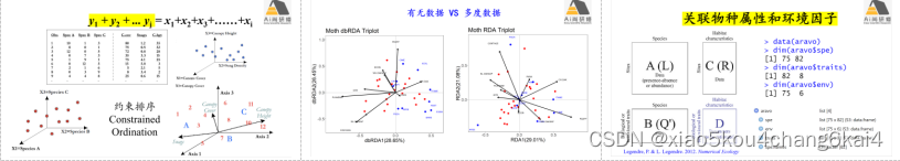 R语言 微生物组 网络 复杂度指数 r语言计算生物多样性_数据_05