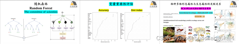 R语言 微生物组 网络 复杂度指数 r语言计算生物多样性_数据挖掘_07