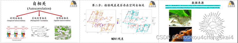 R语言 微生物组 网络 复杂度指数 r语言计算生物多样性_r语言_12