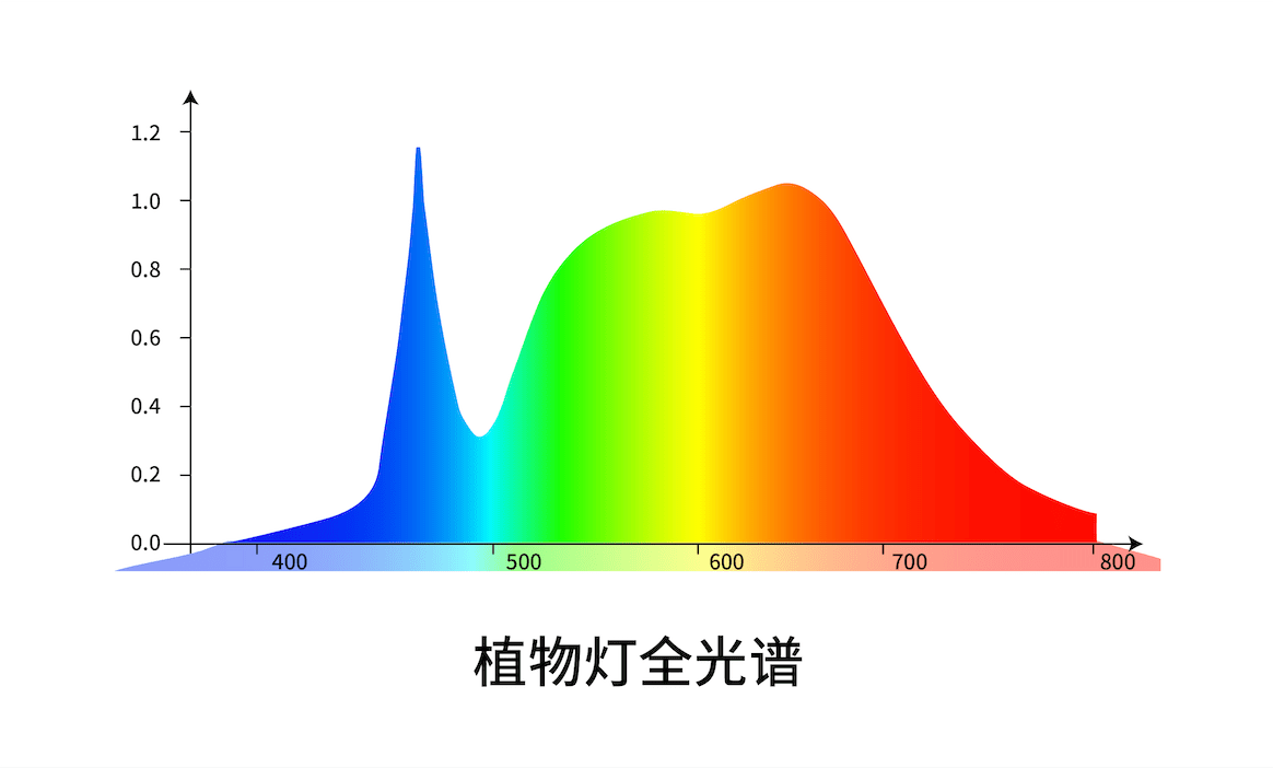 植物补光灯，哪种效果好？_灯_04