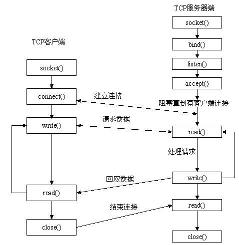 Python cs端开发 python开发cs架构_tcp_03