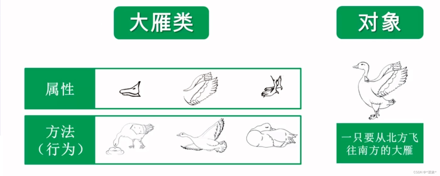 python面向对象模拟学生选课 python面向对象教程_父类_02