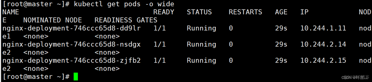 k8s的yaml文件配置启动Python k8s执行yaml文件_YAML_04