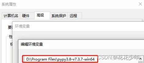 Python使用pywinusb的示例 pypy如何使用_环境变量_04