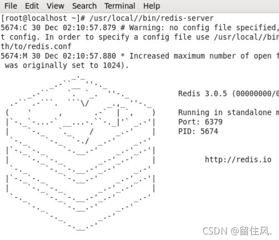 Redis Desktop Manager需要配置吗 redis硬件配置要求_java_06