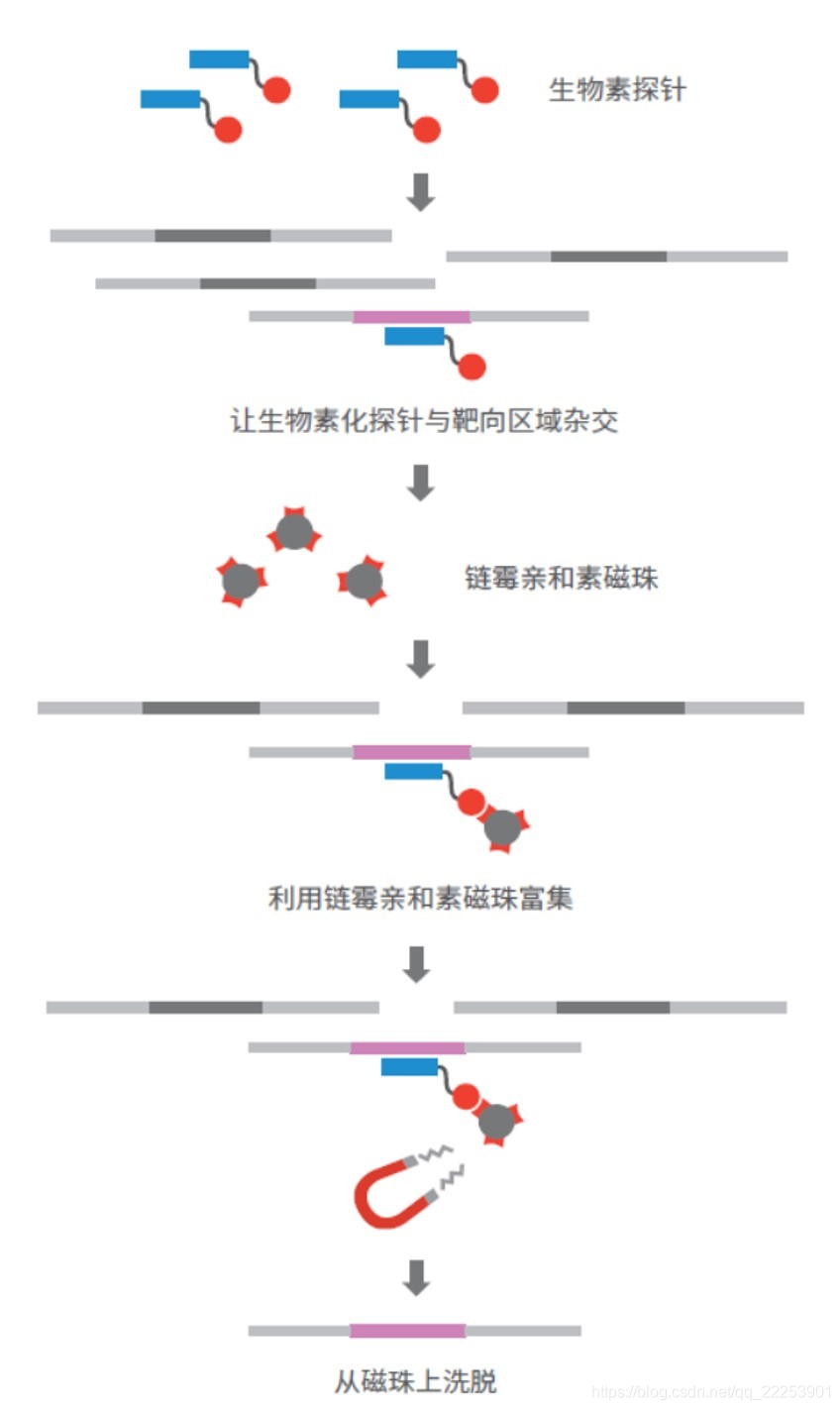 二代测序数据分析python 二代测序数据分析方法_其他_03