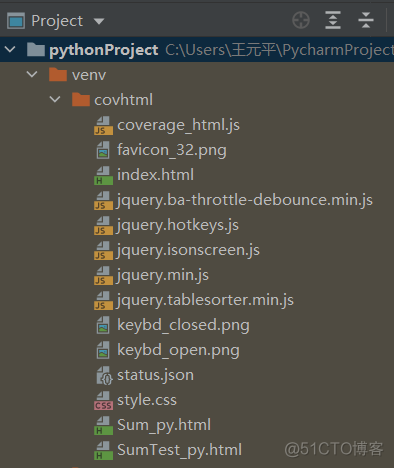 pytorch二维张量如何每行取出一个元素 pycharm二维数组_单元测试_11