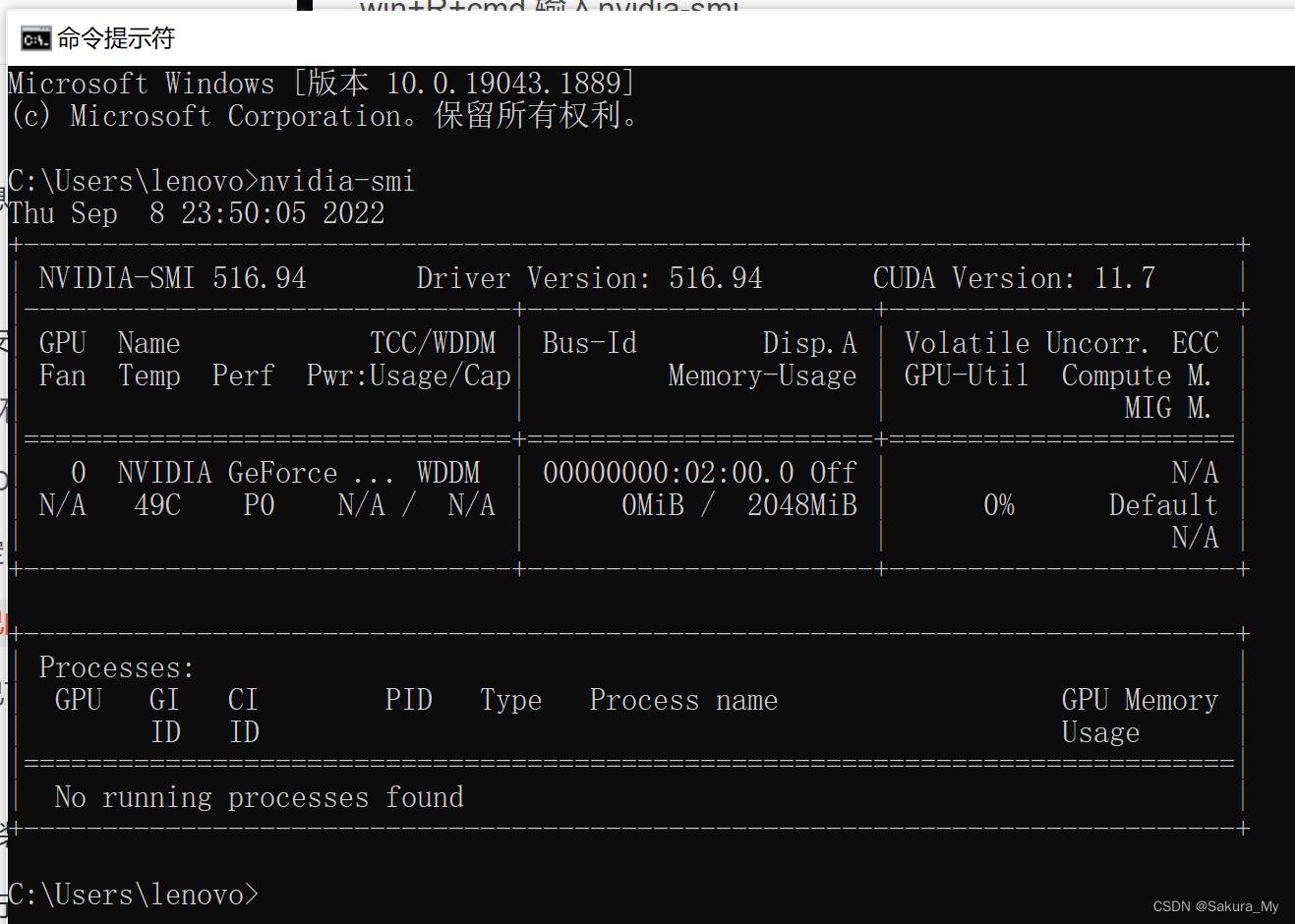 pytorch里的代码pycharm能运行吗 pycharm可以用pytorch吗_python_04